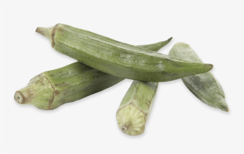 Okra, transparent png download