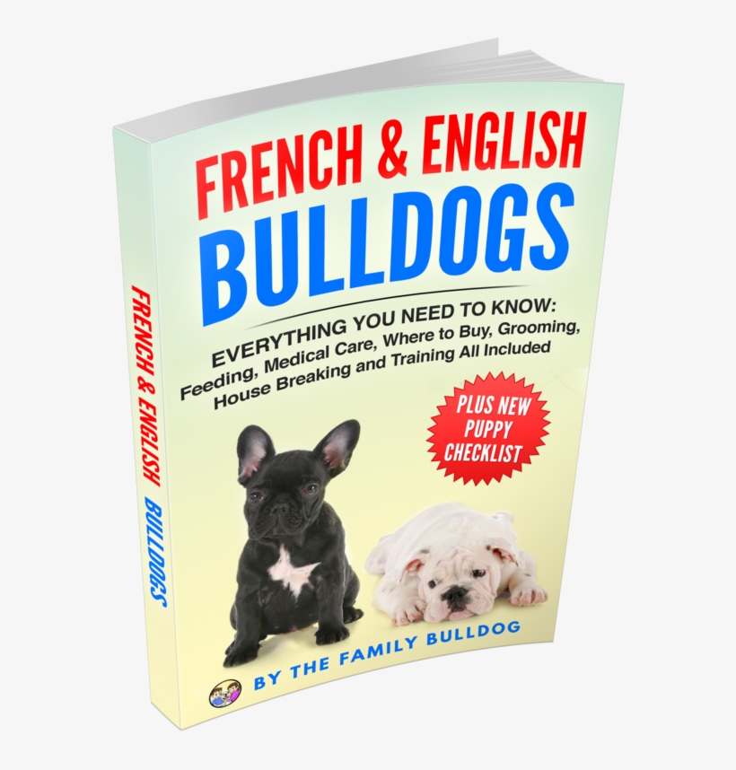 March On Washington 1963, transparent png download