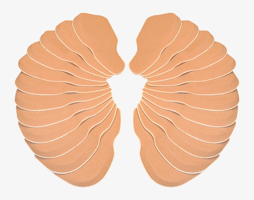 Solemate - Circle, transparent png download