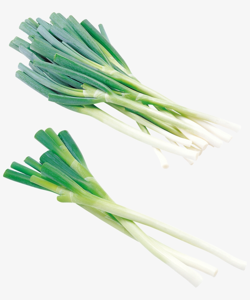 Leek Png, Download Png Image With Transparent Background, - Onion, transparent png download