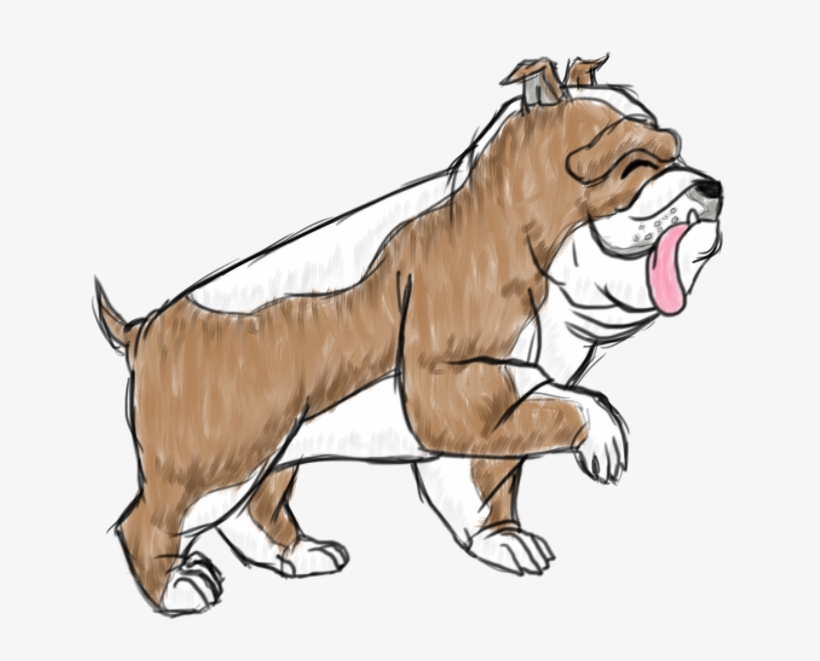 Duke The English Bulldog - Illustration, transparent png download