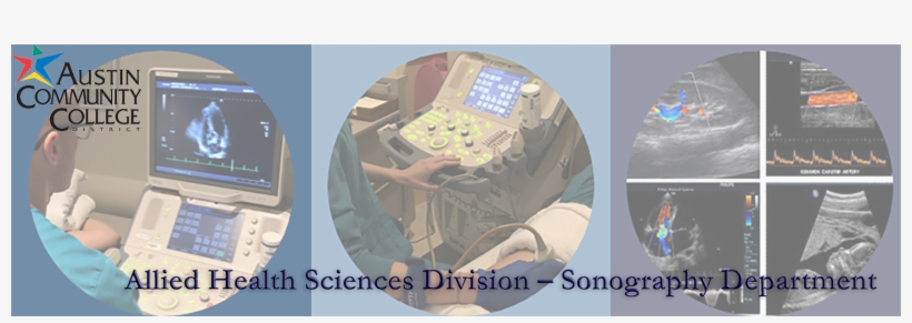 Png - Austin Community College, transparent png download