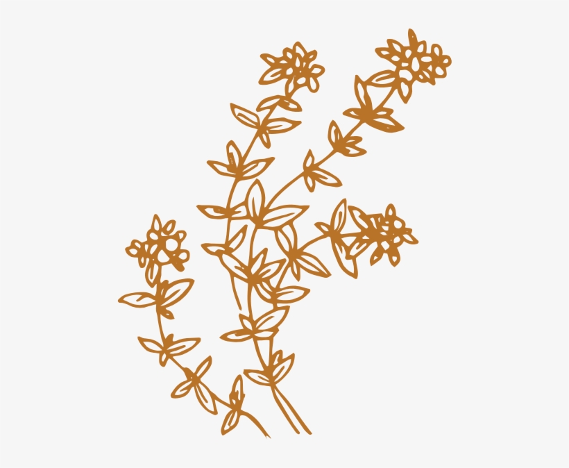 Sisterfox Flowers Orange@2x, transparent png download
