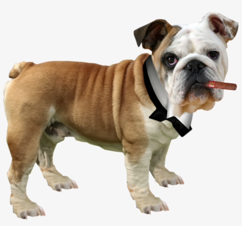 Nature Sticker - Olde English Bulldogge, transparent png download
