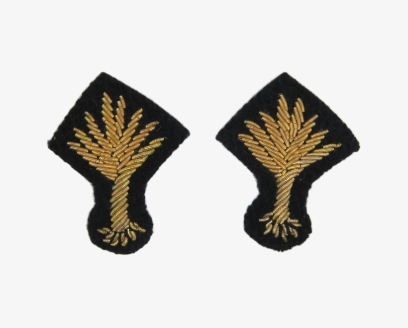 Welsh Guards Officers Collar Badge 1'' Leek - Earrings, transparent png download