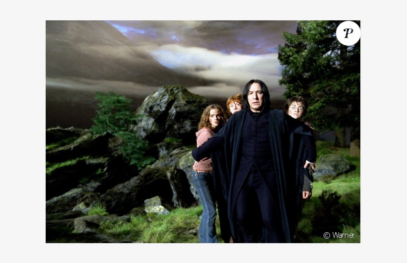 Alan Rickman, Alias Severus Snape/rogue, Dans Harry - Harry Potter I Snape, transparent png download
