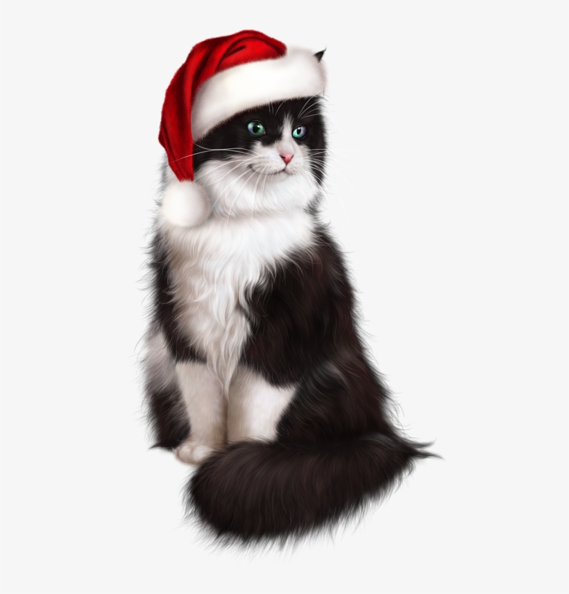 Cat, transparent png download
