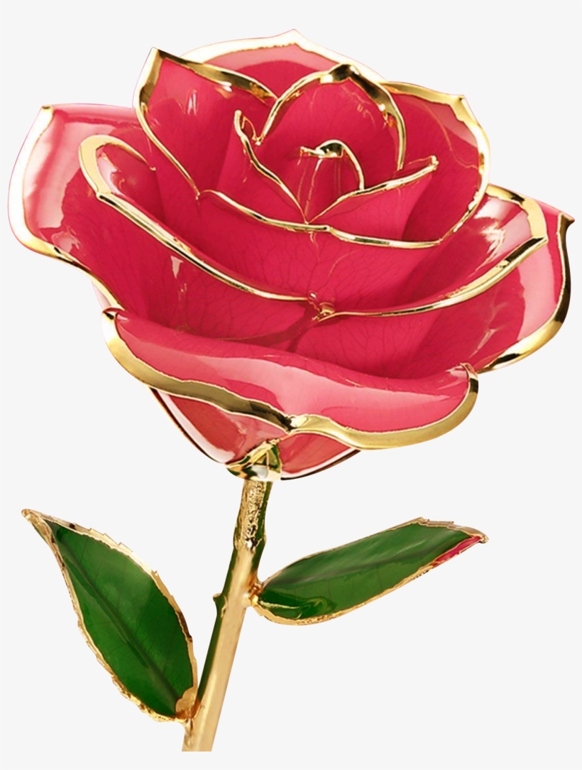 Download - Gift, transparent png download