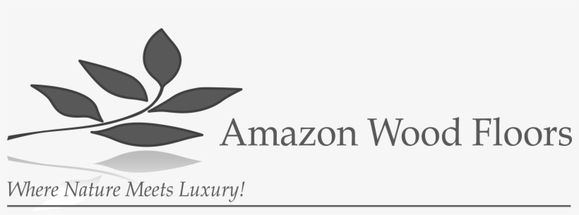 Shayan's Amazon - Graphic Design, transparent png download