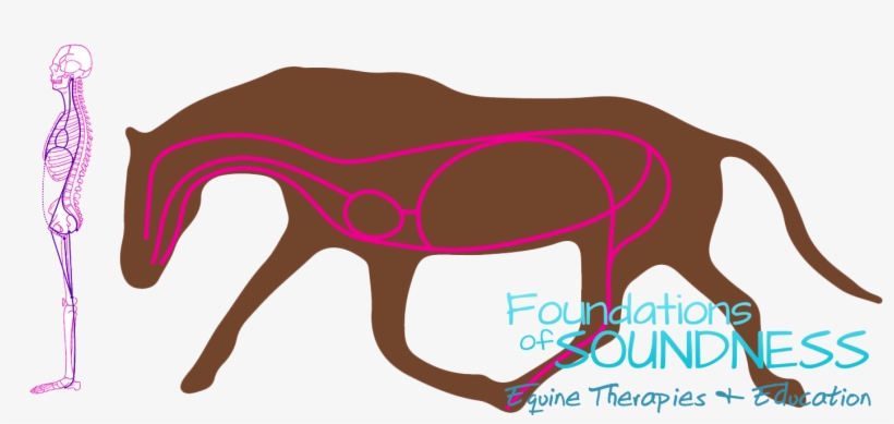 It Passes Along The Ventral Surface Of The Spinal Column, - Mare, transparent png download