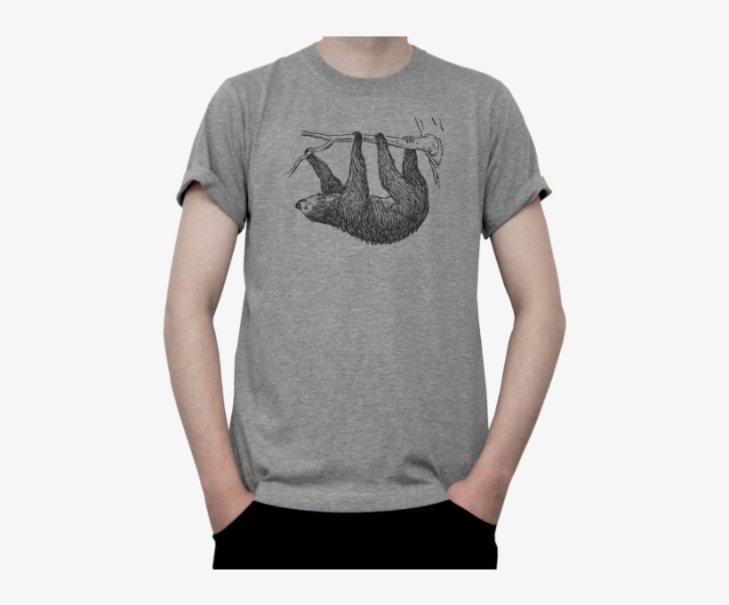 Hover To Zoom - Two-toed Sloth, transparent png download