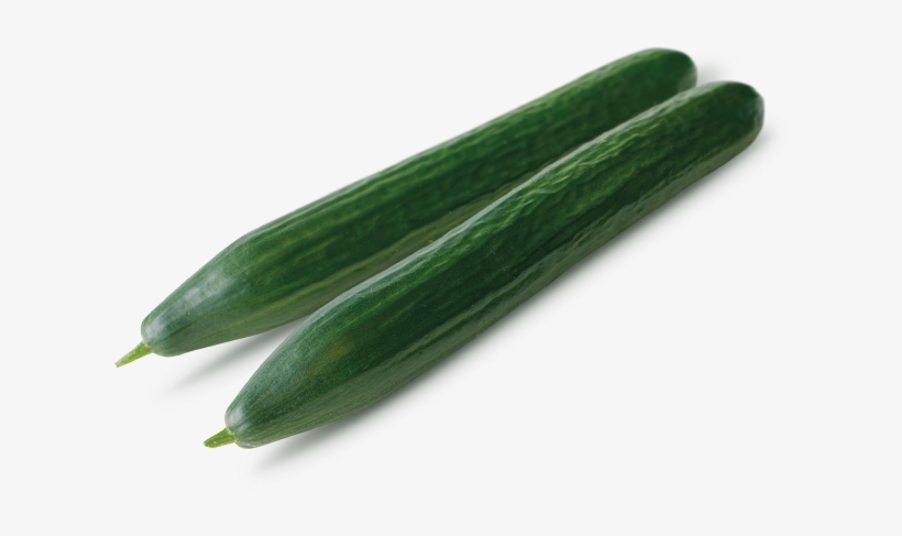Kalunga - Cultivo - Pepino - Pepino Europeo, transparent png download