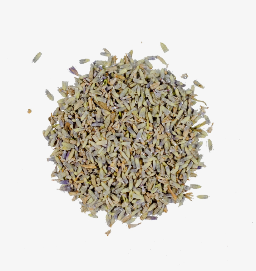 Organic Lavender Flower - Lavender, transparent png download