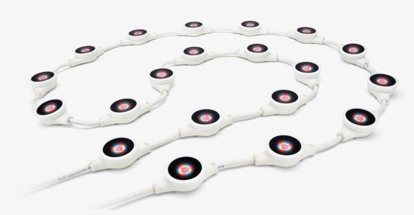 Flex Elite Family Beauty - Circle, transparent png download