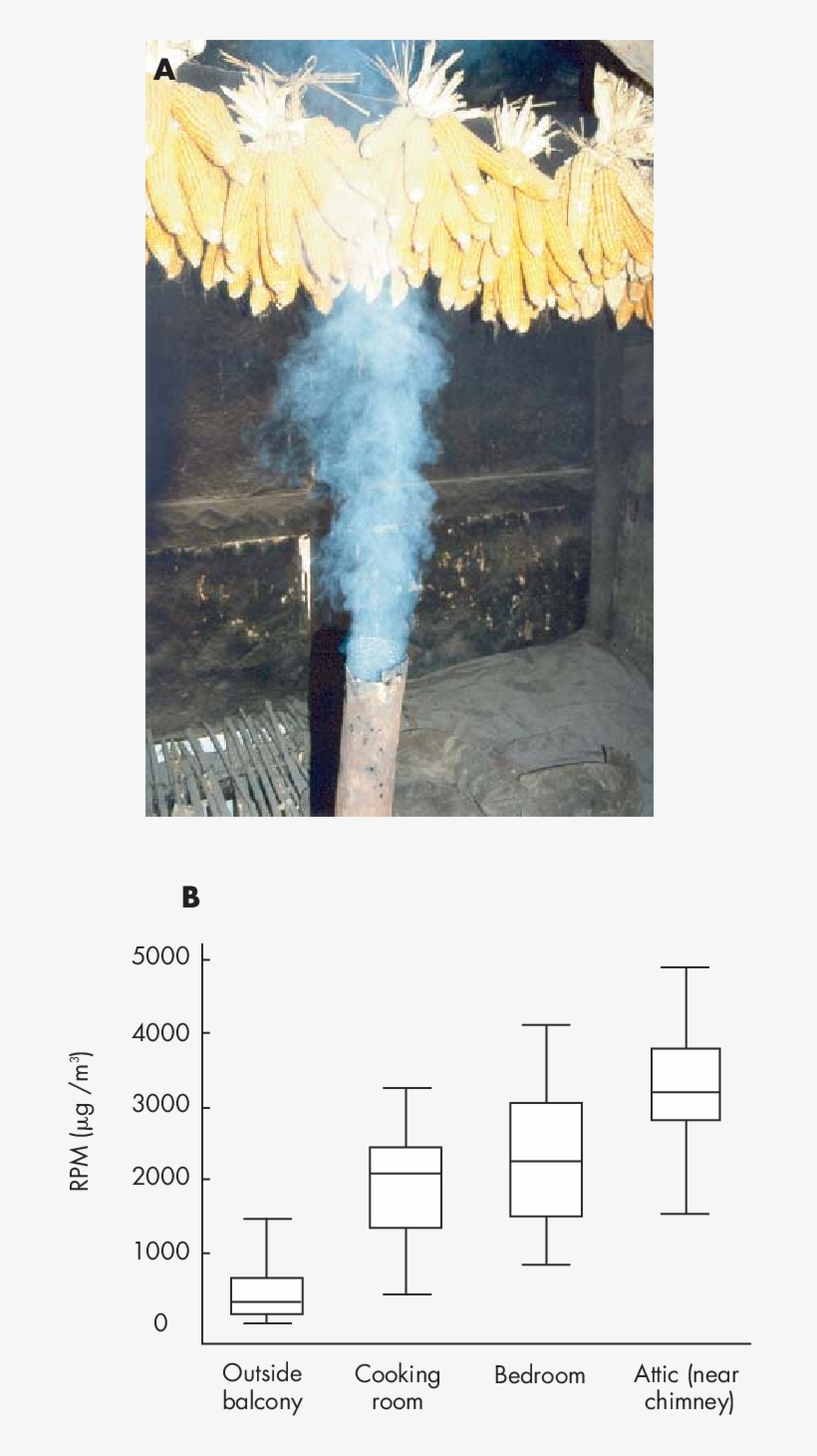 To Fluorine And Arsenic From Stove Use In Southern - Soda Straw, transparent png download