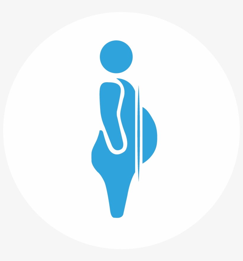 Circle, transparent png download