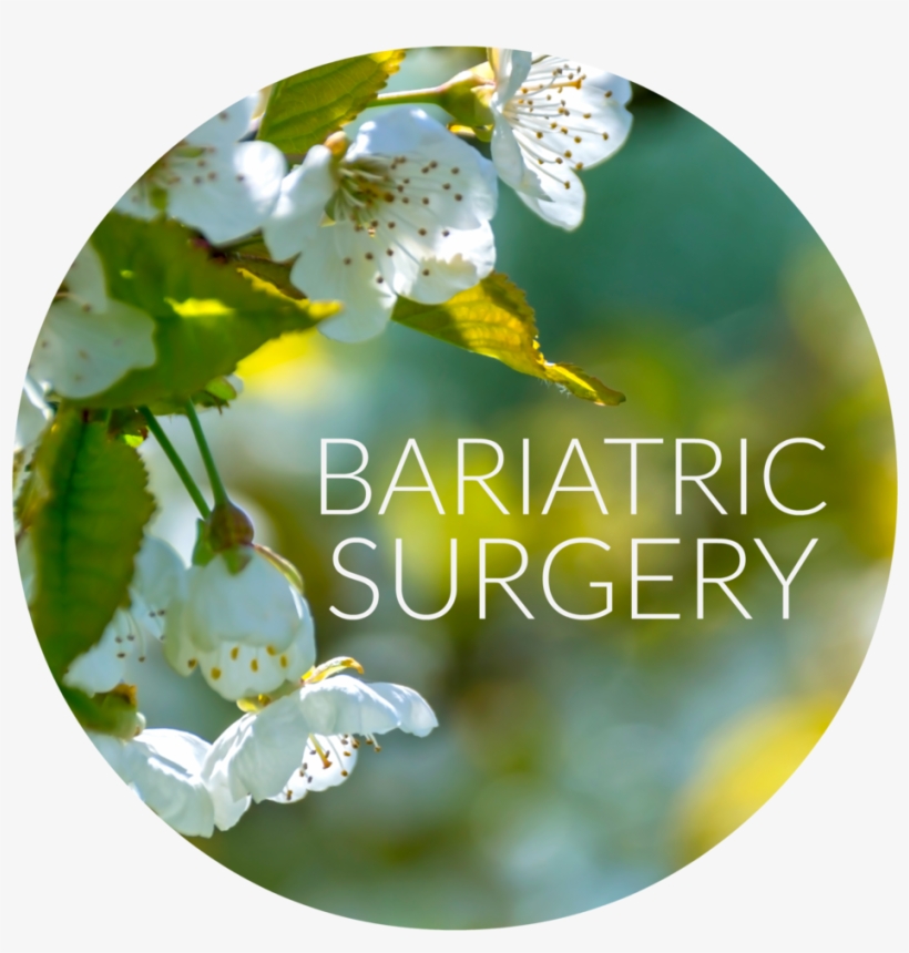 Bari Circle - Motivation, transparent png download