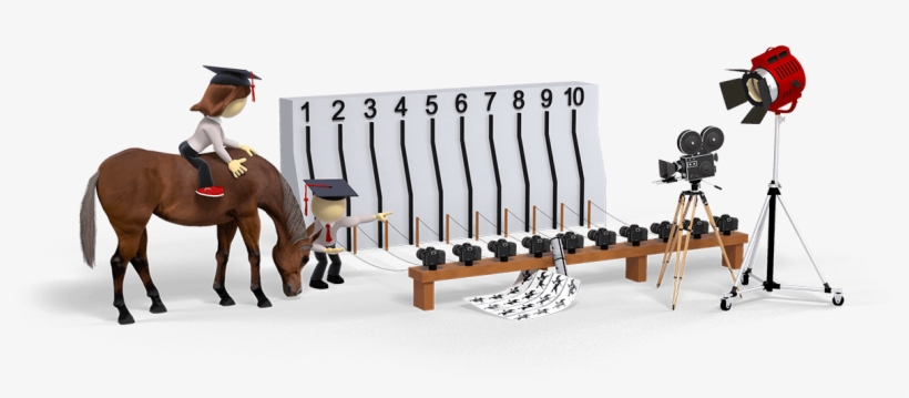 Login To Start Course - Mare, transparent png download