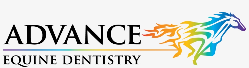 Advance Equine Dentistry - Parallel, transparent png download