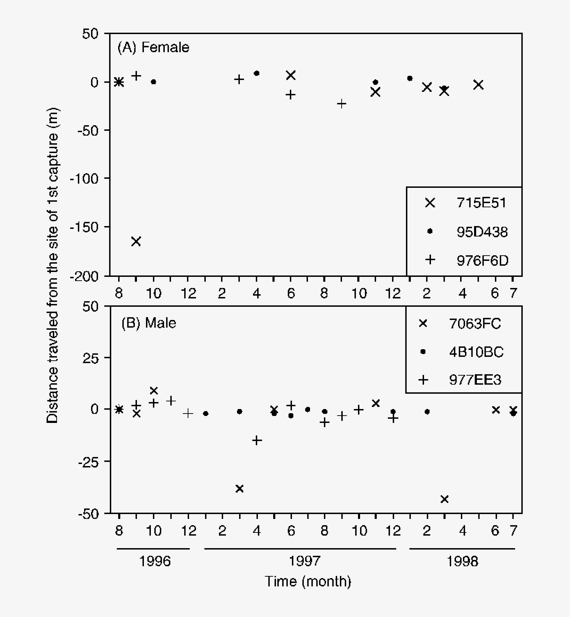 Movement Patterns Of The 6 Most Frequently Caught Female - Diagram, transparent png download