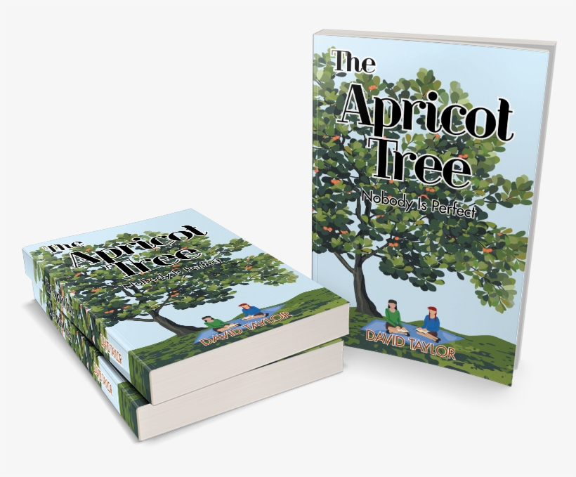 Buy The Book - Christmas Tree, transparent png download