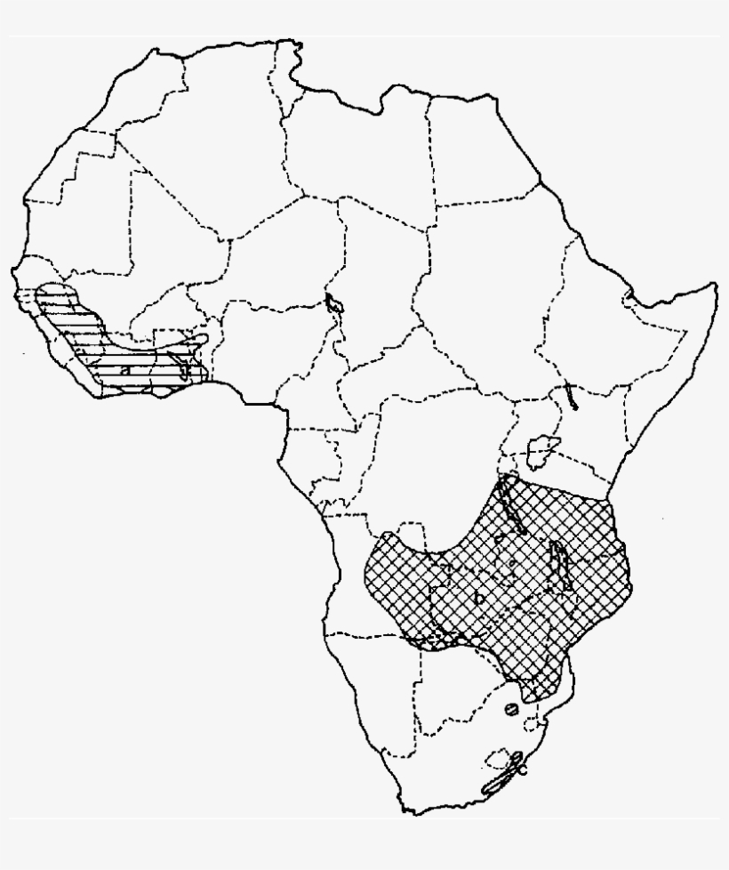 Map Of Africa With The Distributions Of The Three Previously - Map, transparent png download