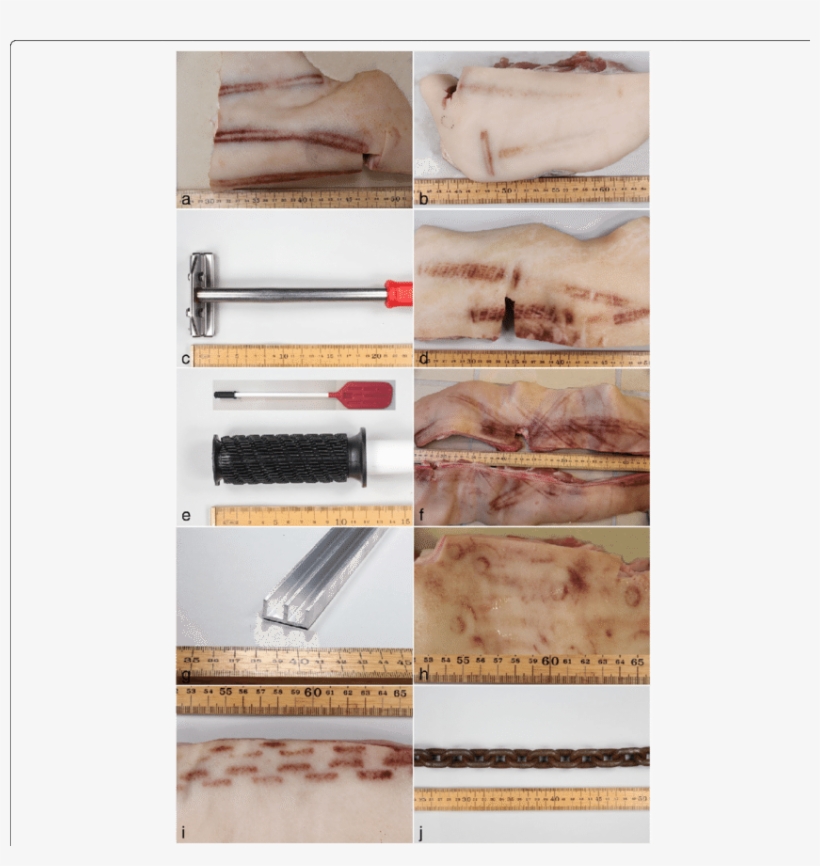 The Patterns Of Bruises On Pig Skin And Objects Clearly - Andouillette, transparent png download