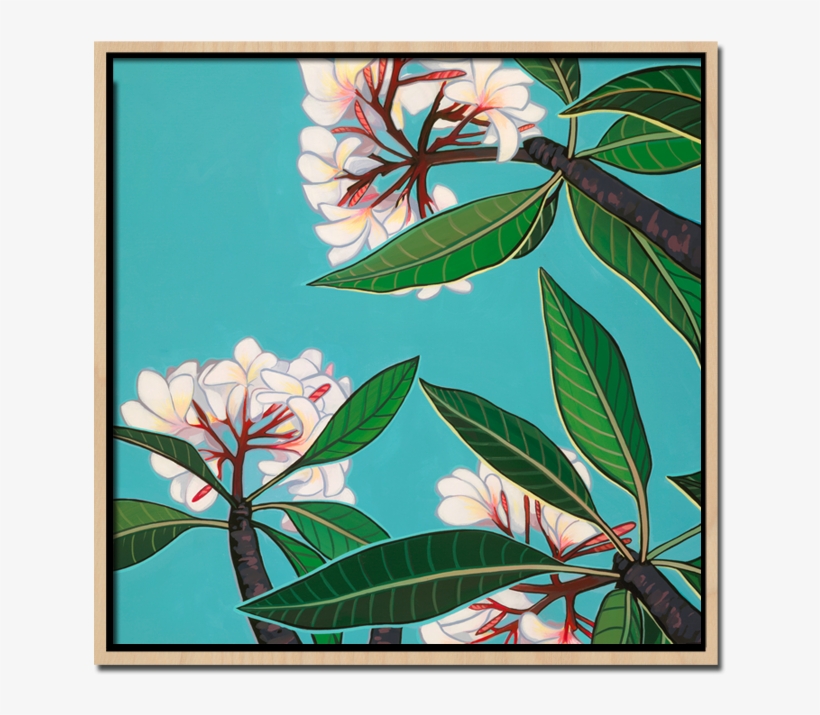 Below The Plumerias - Frangipani, transparent png download