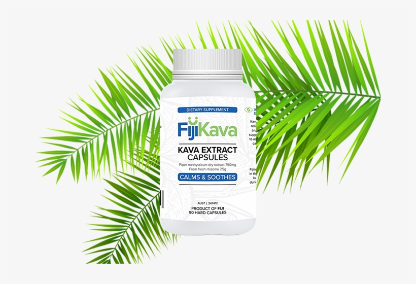 We Maintain A Desirable Chemotype Profile And Our Manufacturing - Tropical Leaves Png Transparent, transparent png download