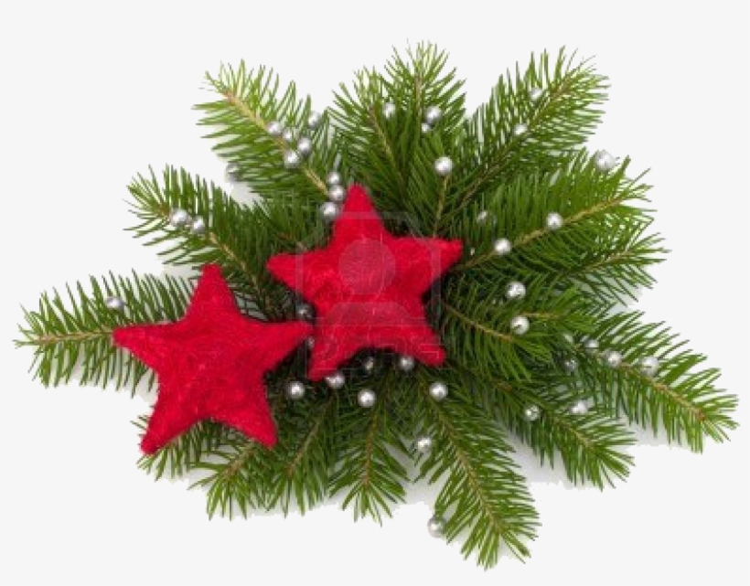 December 2013 Century House - Christmas Decoration Logo, transparent png download