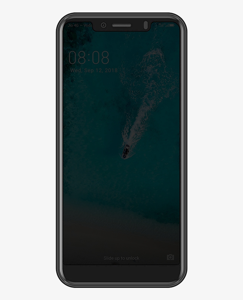 Innelo - Marine Mammal, transparent png download