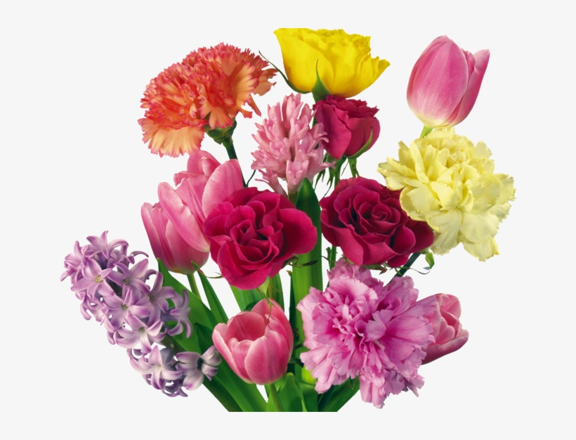 Para Verlas En Tamaño Real Dar Click Sobre Cada Imagen - ดอกไม้ ไฟล์ Png, transparent png download