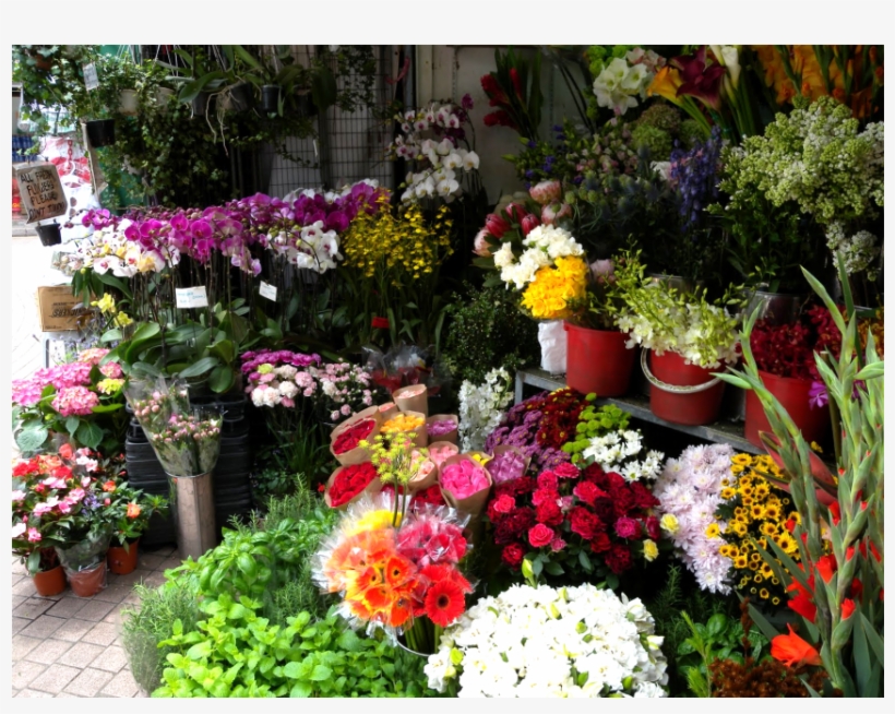 ¿cuánto Cuestan Las Flores Para El Día De La Primavera - Flores Por La Primavera, transparent png download