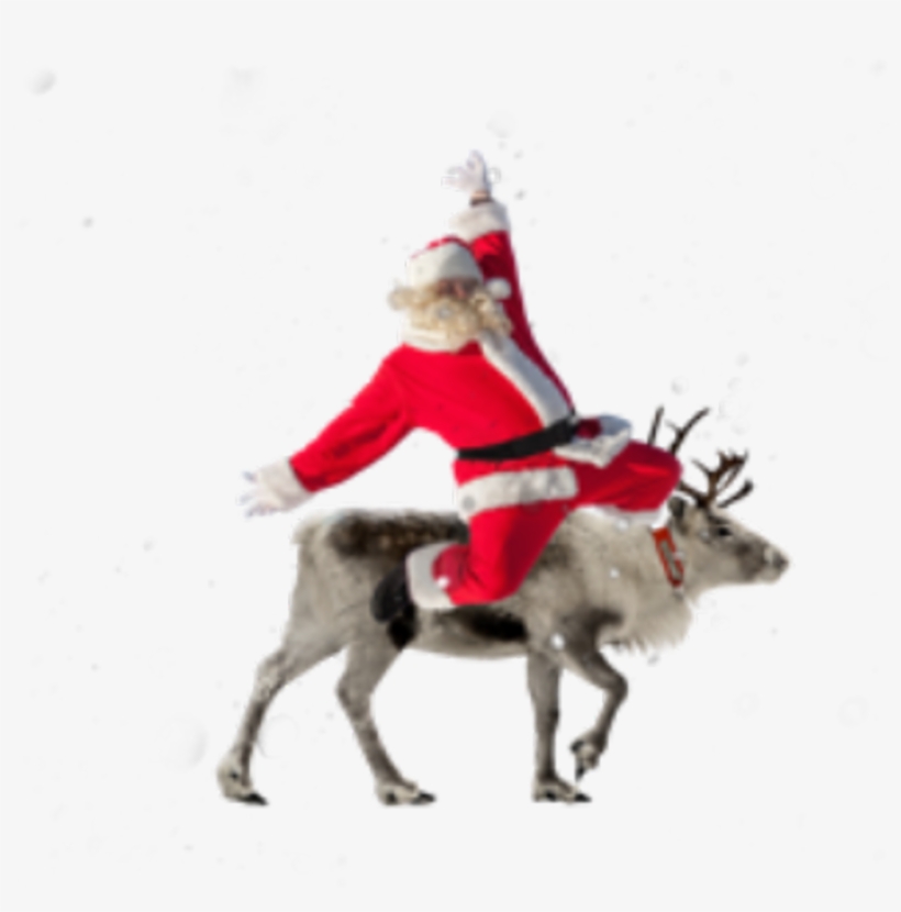 Santa Reindeer Christmas Holiday - Christmas, transparent png download
