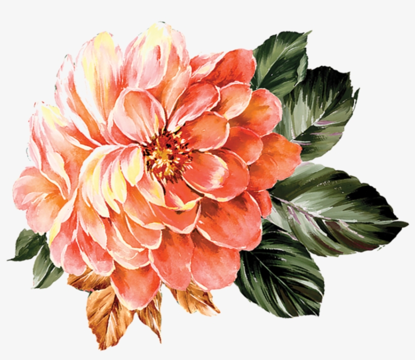 Window Box Competition - Protea, transparent png download
