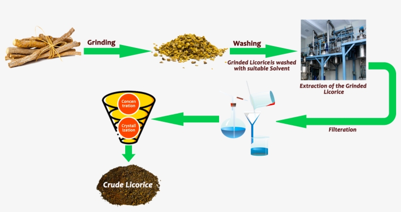 Extraction Of Licorice - Diagram, transparent png download