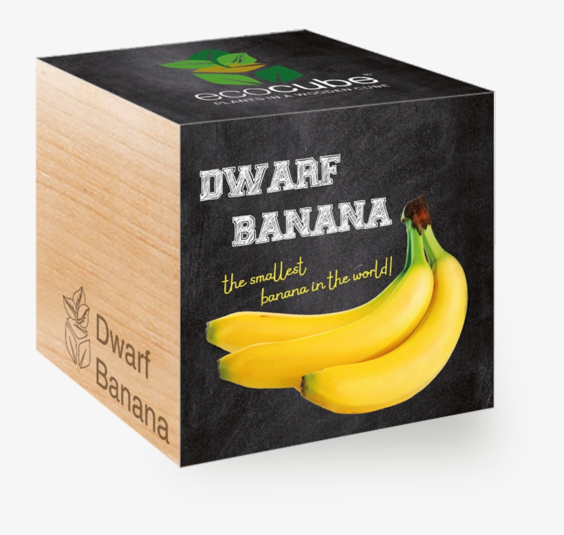 Saba Banana, transparent png download