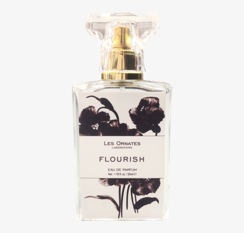 Eau De Parfum 50ml Test Hair Corner - Perfume, transparent png download