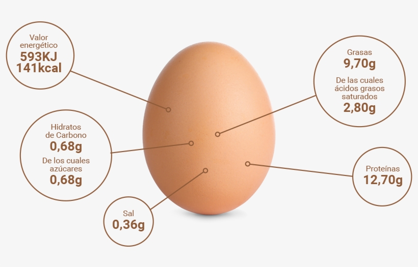 Información Nutricional - Diagram, transparent png download