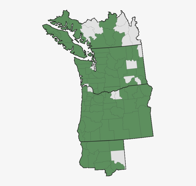 More Information - - Philadelphus Lewisii Distribution Map, transparent png download