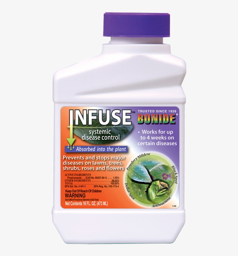 Vegan Nutrition, transparent png download