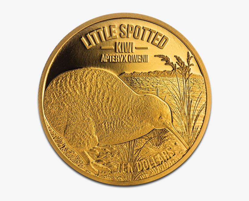 View Large Image - 2018 Gold Proof Kiwi, transparent png download