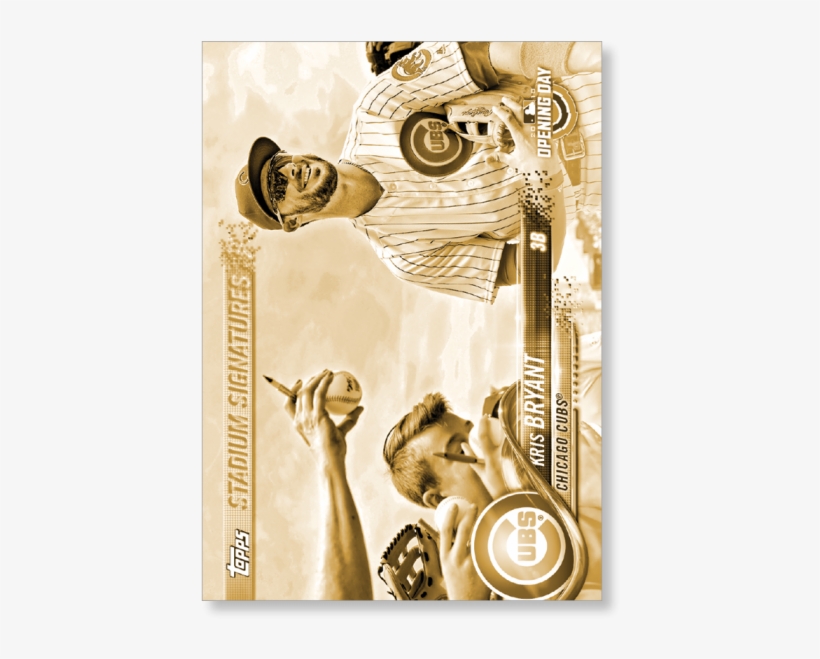 Gallery - Picture Frame, transparent png download