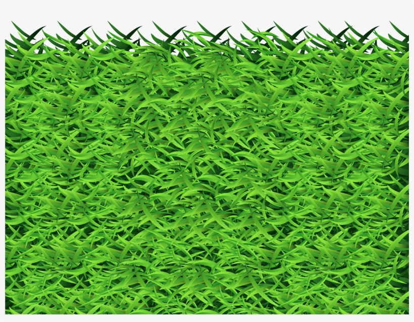Free Png Grass Png Images Transparent - Vascular Plant, transparent png download