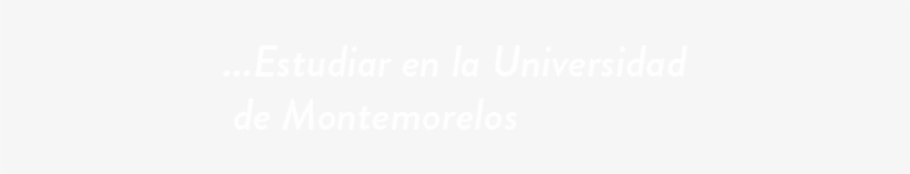 Estudia En Línea - Johns Hopkins Logo White, transparent png download