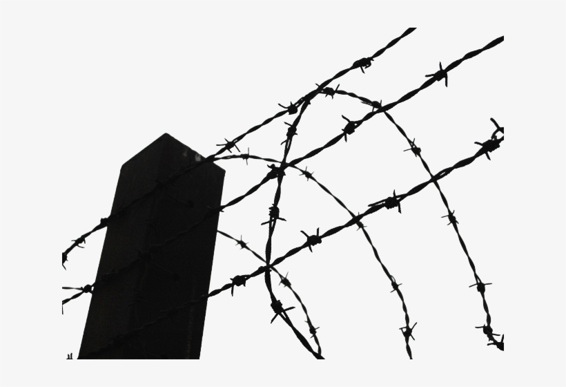 Barbed Wire Clipart Transparent Background - Prison Barb Wire Png, transparent png download