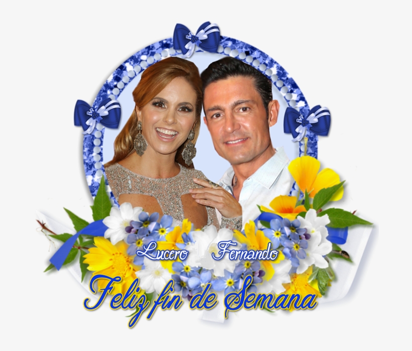 Muchas Gracias Siboney Y Felicidades - Portable Network Graphics, transparent png download