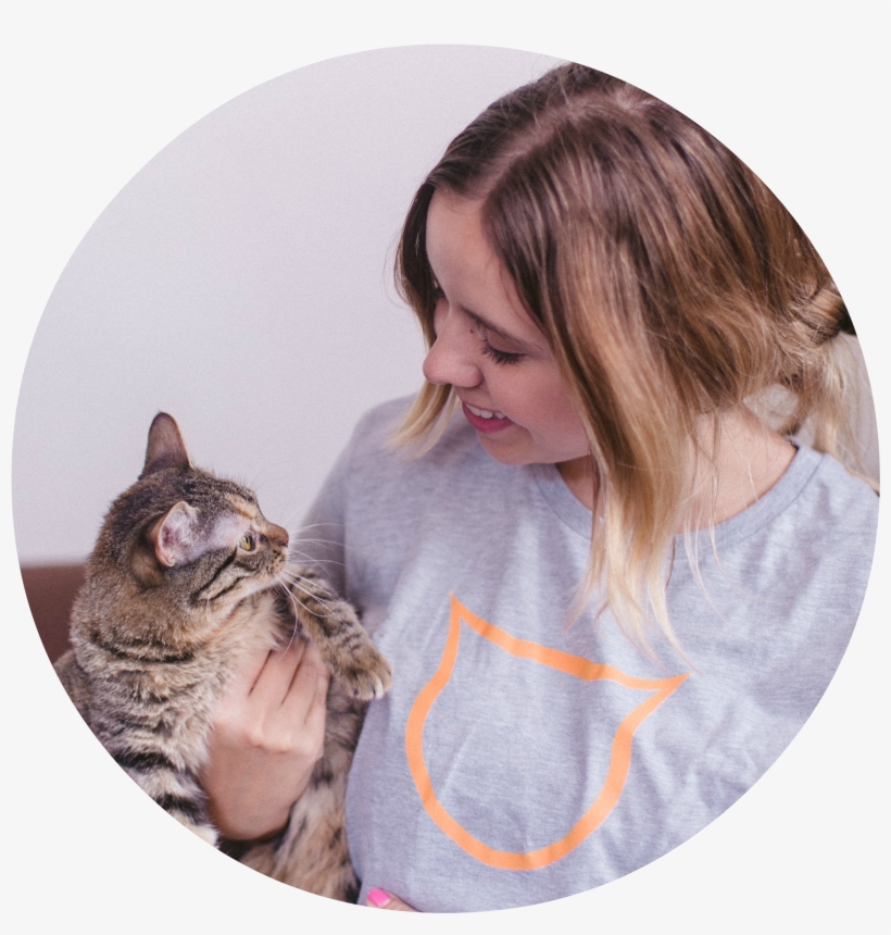 Really, Really Hot - Tabby Cat, transparent png download