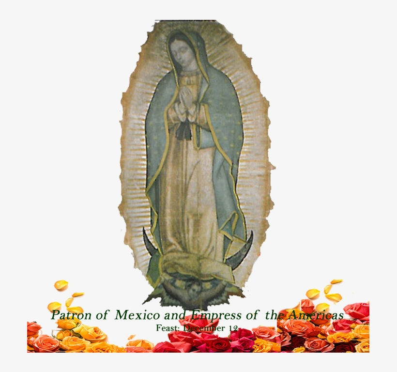 Mexican Poncho Png, transparent png download