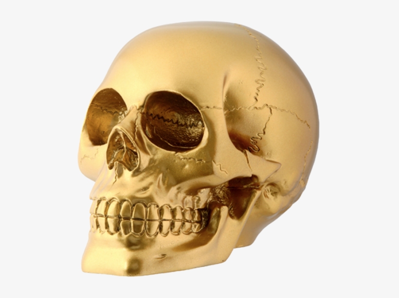 Gold Skull Png - Head Skull, transparent png download